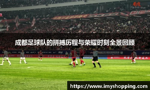 成都足球队的拼搏历程与荣耀时刻全景回顾